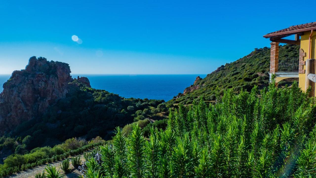 Villa Il Tramonto Tanca Piras à Nebida Extérieur photo