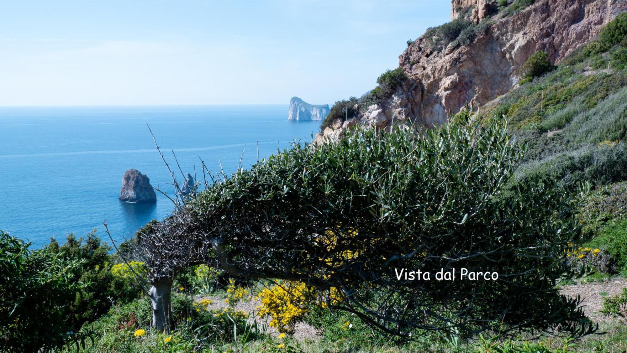 Villa Il Tramonto Tanca Piras à Nebida Extérieur photo